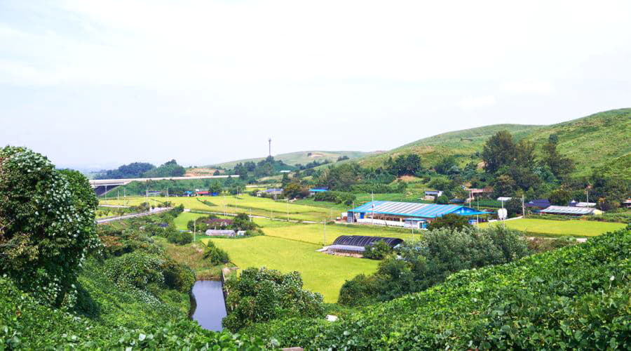 Naše služby pronájmu automobilů nabízejí rozmanitý výběr vozidel v Seosanu.